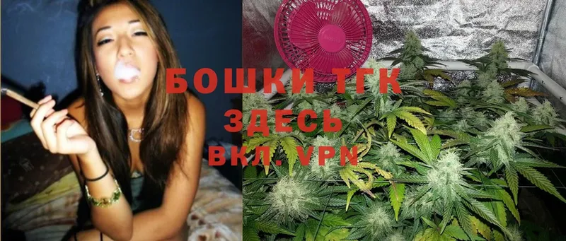 Каннабис SATIVA & INDICA  кракен ССЫЛКА  Белореченск 